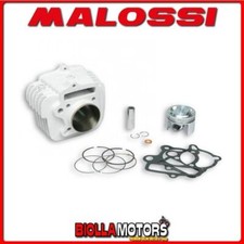 3113693 THERMAL GROUP MALOSSI