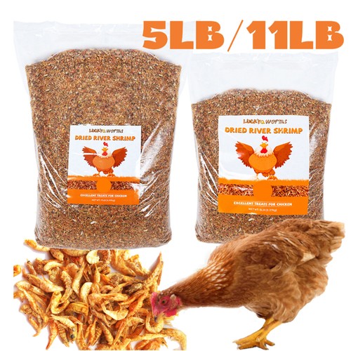 Dried river shrimp - shrimp, high