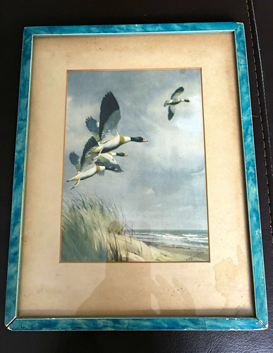 Harrison framed signed - j.,