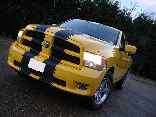 Twin rally stripes decals - stripes,