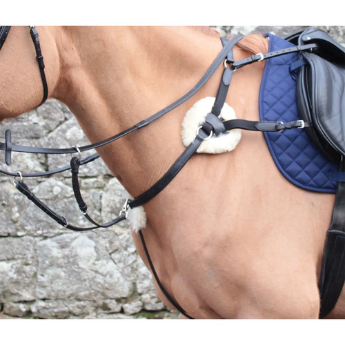 Mackey classic point - mackey,