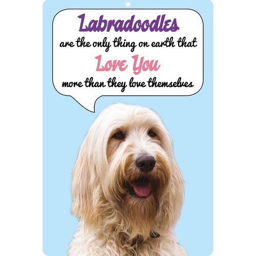 Labradoodle dog sign