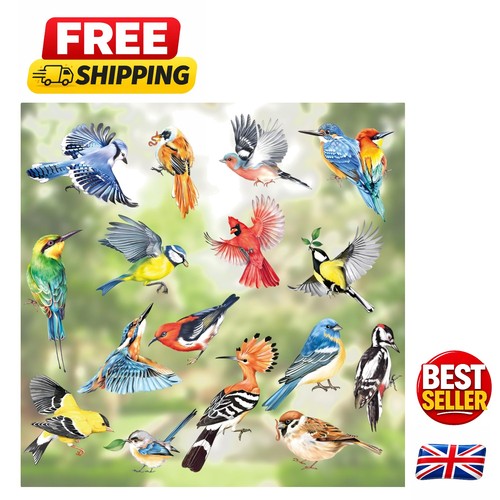 Brightly colored bird window - brightly,