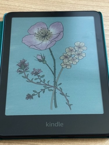 Amazon kindle colorsoft - kindle, 16gb
