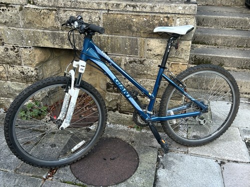 Giant revel mountain bike - w3,