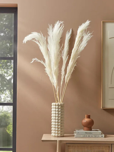 Dried pampas grass stems - dried,