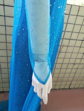 2 Elsa Dress Up Cosplay Party Outfit Girls Fancy Kids Costume Frozen