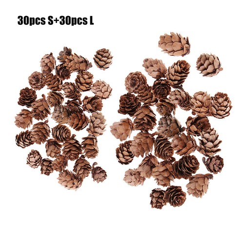 60pcs small pine cones - pine,