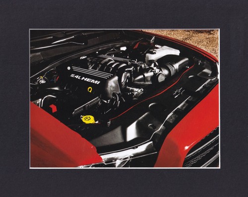 8x10 matted print - 8x10", muscle