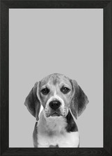 Beagle dog Framed Wall Art