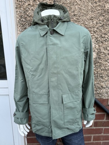 Lacoste hooded sage - lacoste,