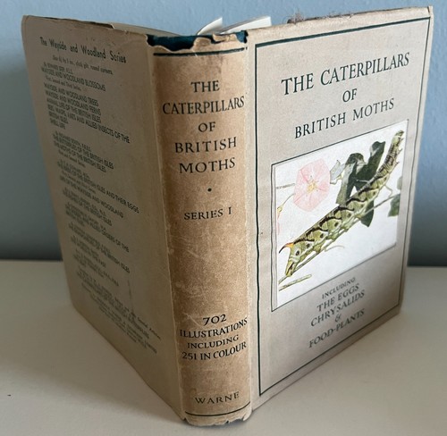 The caterpillars british - caterpillars, of
