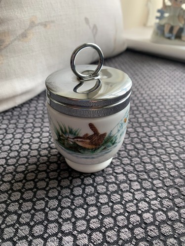Royal worcester birds egg - worcester,