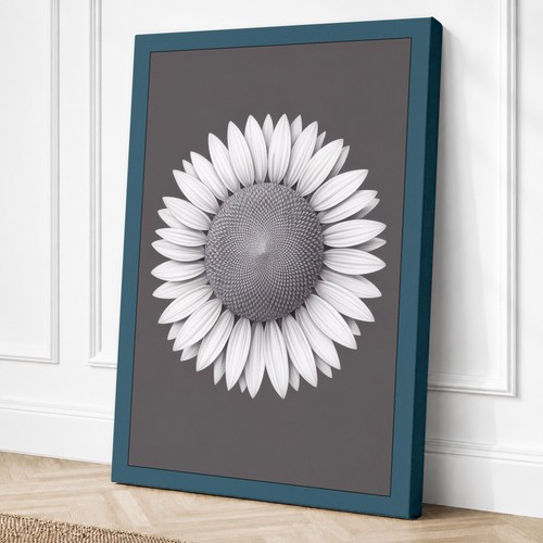 Sunflower study botanical - sunflower,