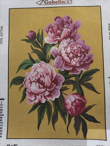 Needlepoint tapestry 45x60cm - ,
