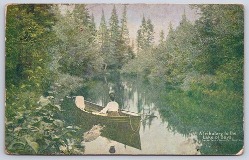 Antique canada postcard lake - canada,