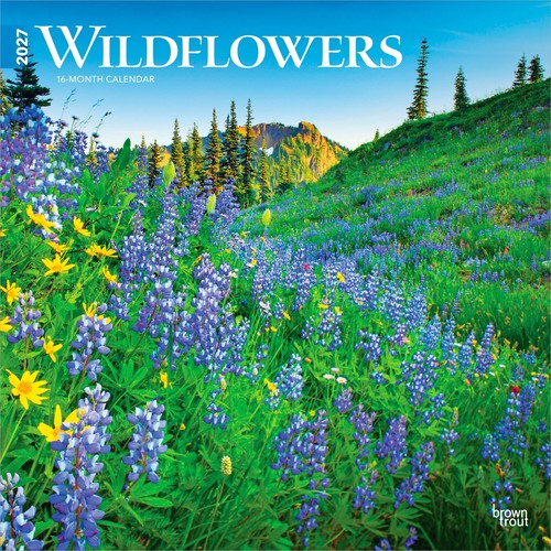 Wildflowers 2027 12x24 - wildflowers, 12x24"