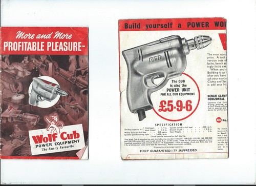 Wolf cub home - wolf, power