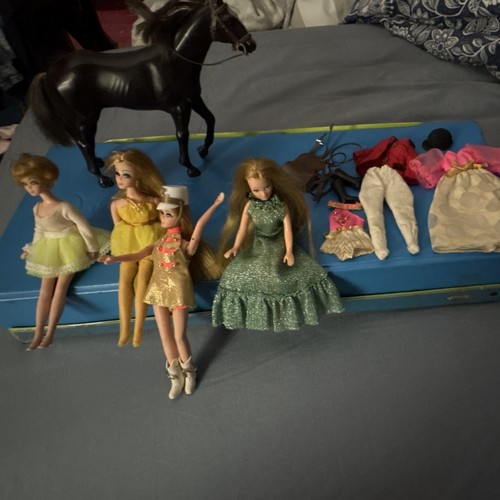 Pippa dawn dolls bundle - pippa,