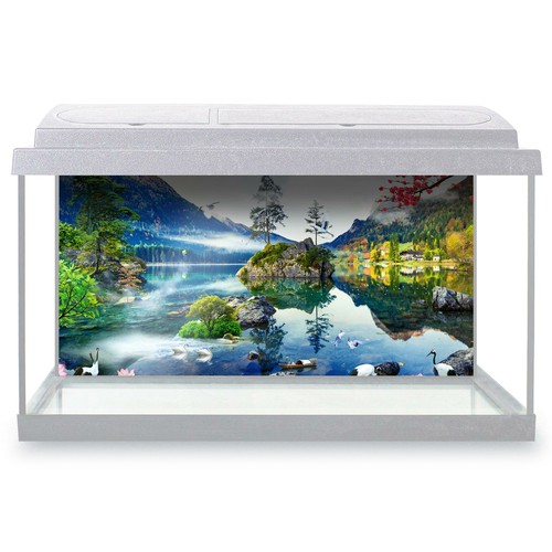 Fish tank background - fish,