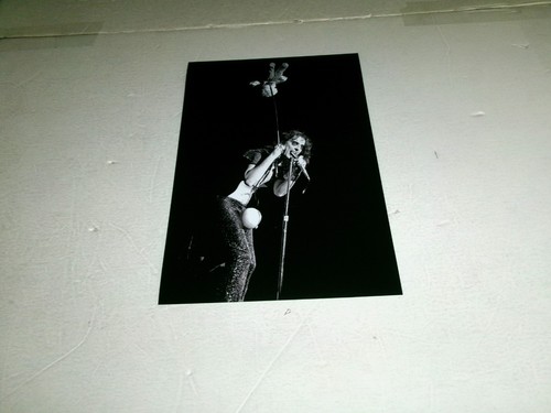 Alice cooper 8x12 - alice,