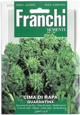 Franchi Seeds Sprouting Broccoli Cima di Rapa Quarantina seed