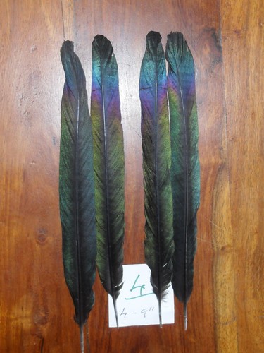 Magpie center tail feathers - 4,