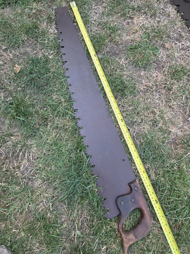 Vintage logging saw forrestry - logging,