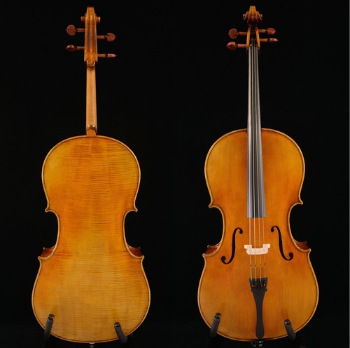 Master cello fabulous - master,