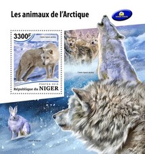 Arctic animals