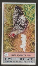 FRYS-BIRDS & POULTRY 1912-#36- SILVER WYANDOTTE HEN