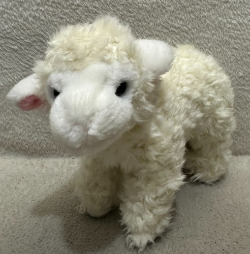 Living nature white lamb - , sheep