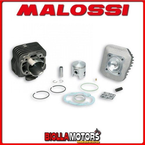317200 cylinder kit malossi - cylinder,