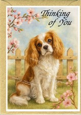Cavalier King Charles (4" x