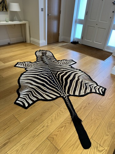 Real burchell zebra skin with - burchell,