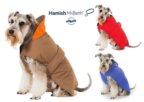 Warm pet dog - pet, jacket