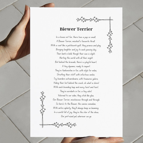 Biewer terrier dog - terrier, funny