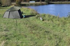 Trakker tempest Composite 1
