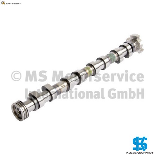 Camshaft 50007852 for peugeot - camshaft,