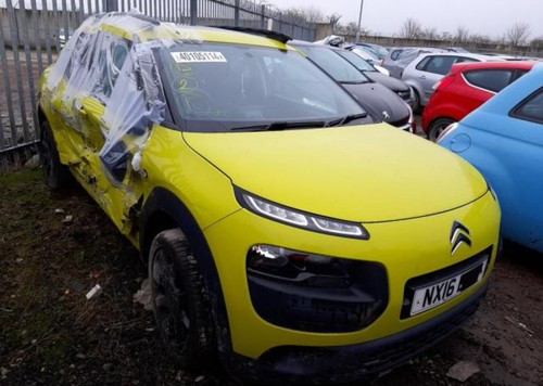 Citroen cactus 2016 front - cactus,