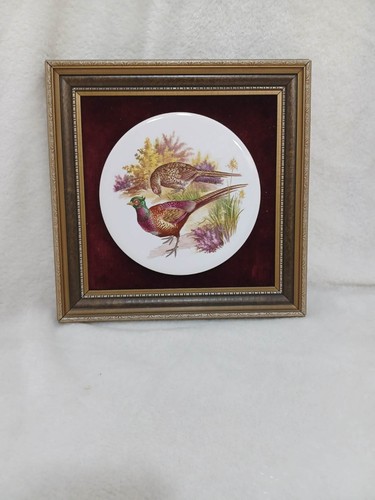 Vintage framed pheasant - vintage,