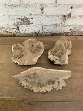 Waney Edge Live Edge Oak Burr Boards Planks Slabs River Table