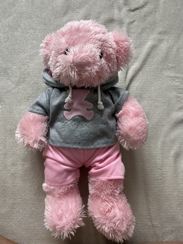 Build bear pink teddy - a,
