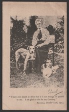 WW1 Edith Cavell & Dogs Silk Postcard