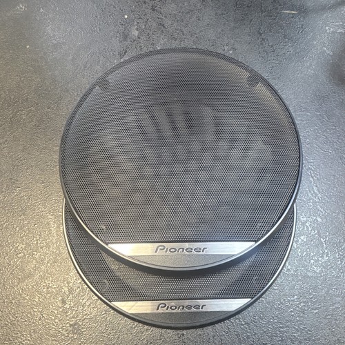 Pioneer car door - pioneer,