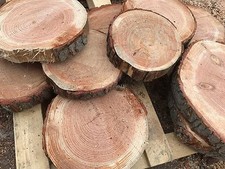 4 Rustic Damaged Log Slices In Random Sizes 10"-18" Ideal Wooden Stepping Stones