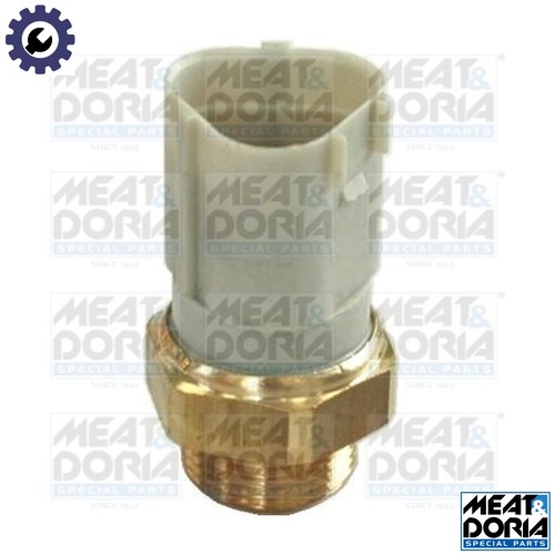Temperature switch radiator - temperature,