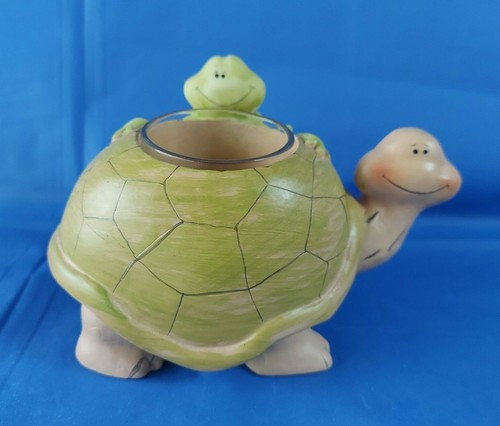 Cute frisky frog - cute, on