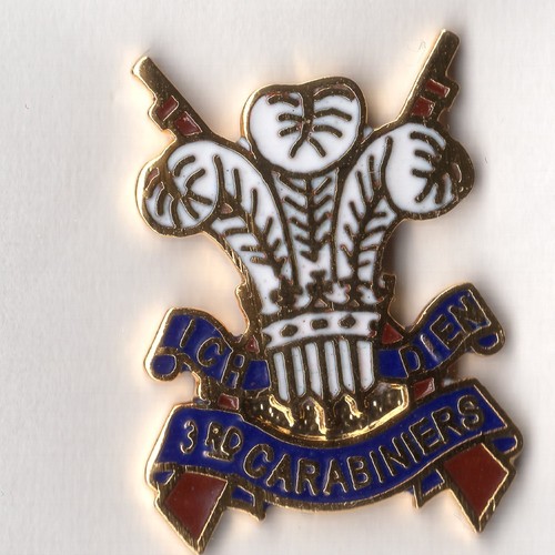 Enamel lapel badge 3rd - lapel,