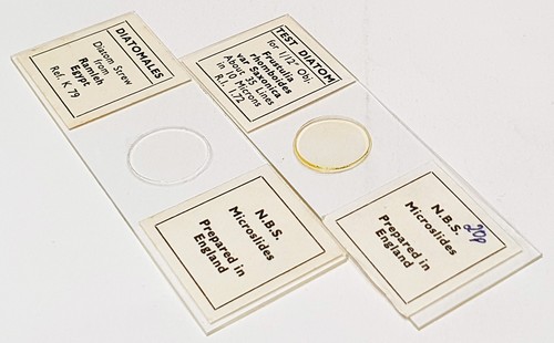 Diatom microscope slides - 2x,